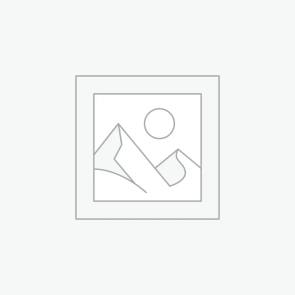 WordPress Plugins